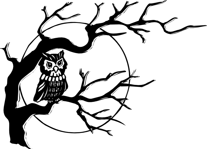 Reading Owl Clipart Black And White Black And White Owl Png