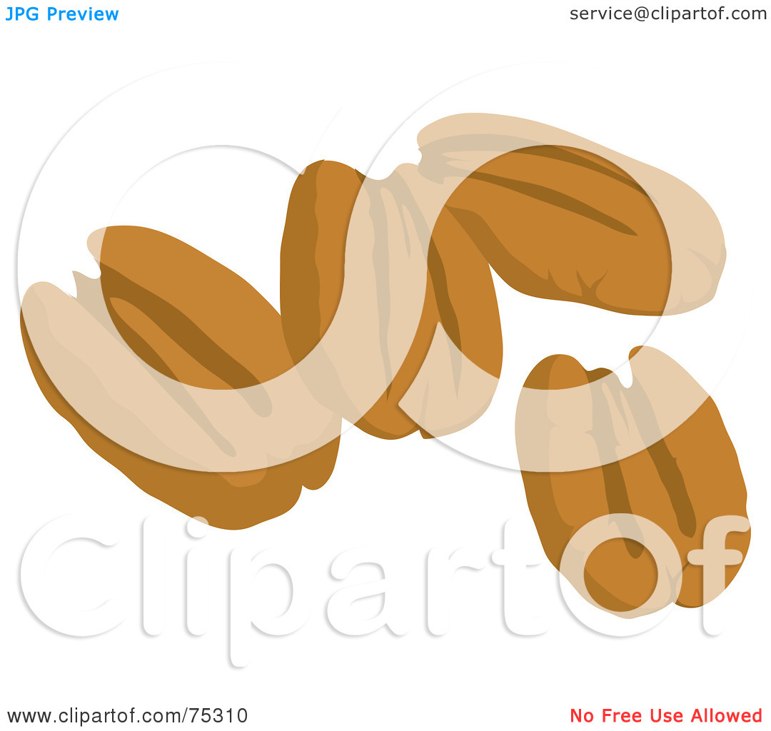 Royalty Free  Rf  Clipart Illustration Of Four Pecan Nuts By Rosie