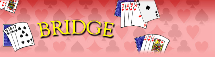 Bridge Partner With A Friend Or Make A New One In Bridge It Takes