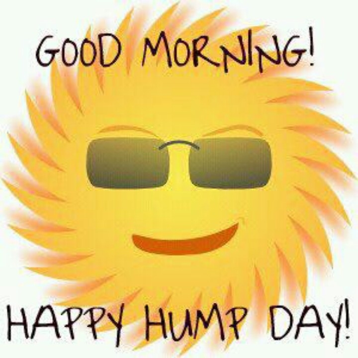 Good Morning Happy Hump Day Pictures Photos And Images For Facebook