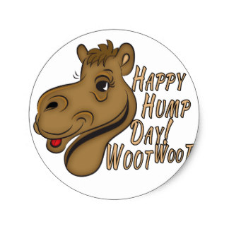 Hump Day Camel Stickers