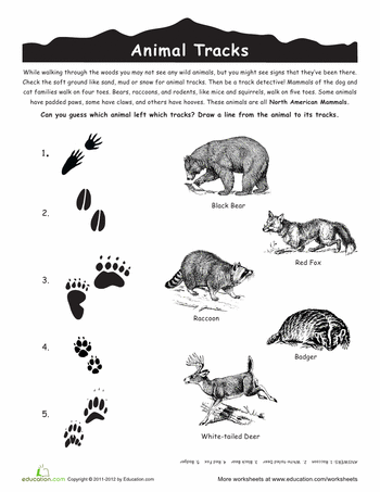 Click On A Worksheet In The Set Below To See More Info Or Download The    