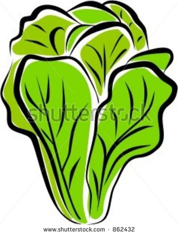 Free Stock Photography And Ketchup On Lettuceromaine Lettuce Blue