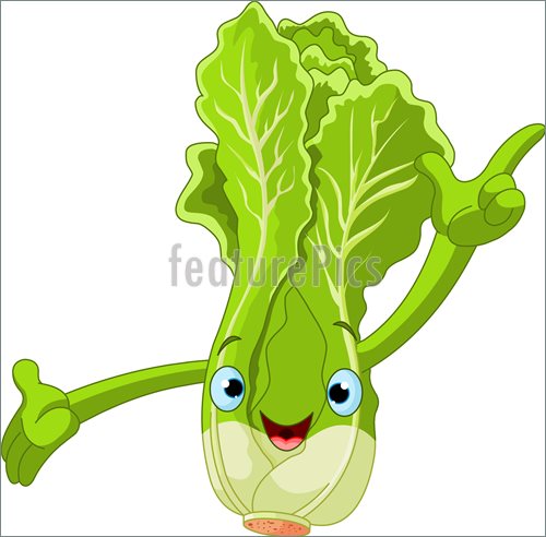 Lettuce Character Presenting Something Illustration  Royalty Free