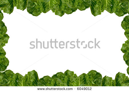 Lettuce Clip Art Free