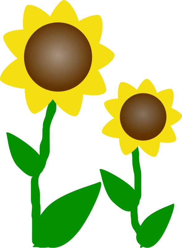 Sunflower Clipart Royalty Free Flower Pictures   Clipart Pictures Org