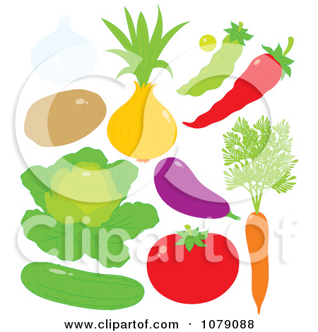 There Is 35 Onion Outline   Free Cliparts All Used For Free