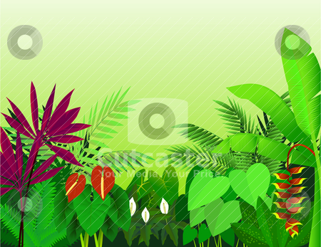 Clipart Forest Background