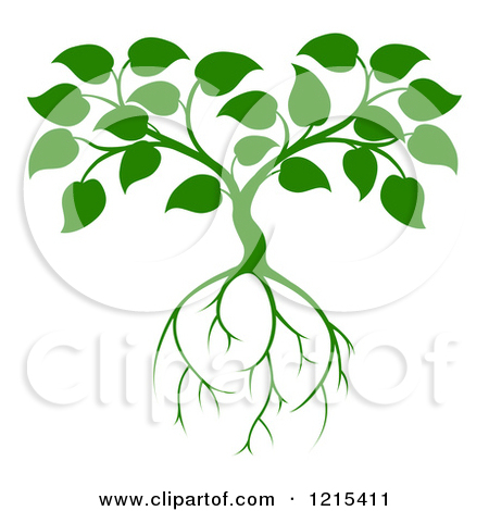 Clipart Of A Green Seedling Tree With Leaves And Roots 2   Royalty