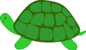 Green Turtle Pet Clip Art