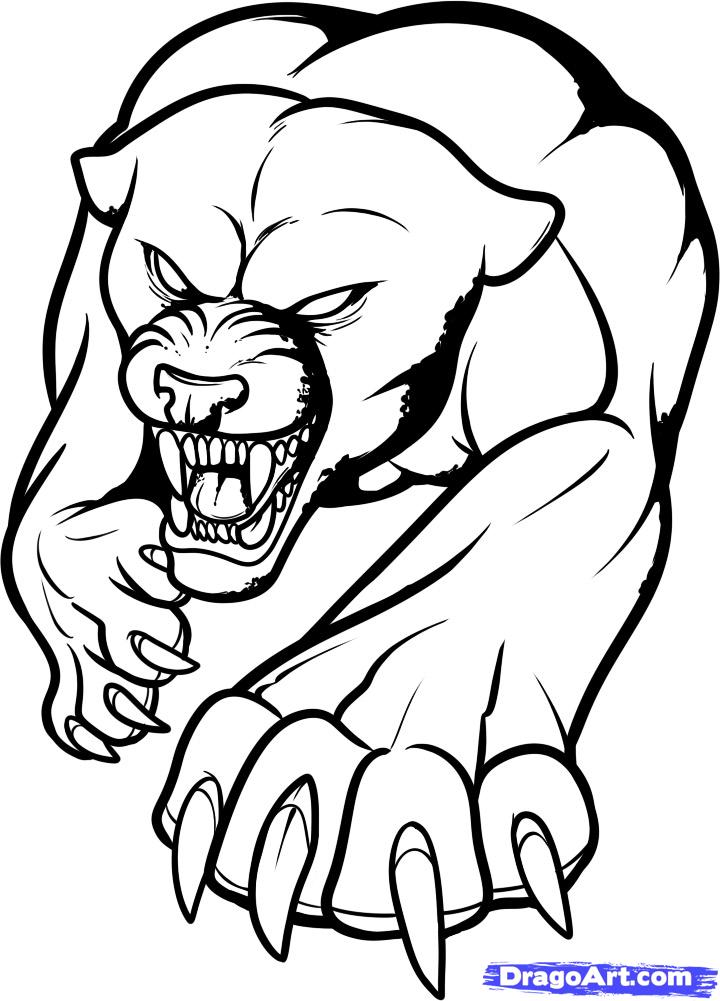 Panther Drawing Outline   Clipart Best