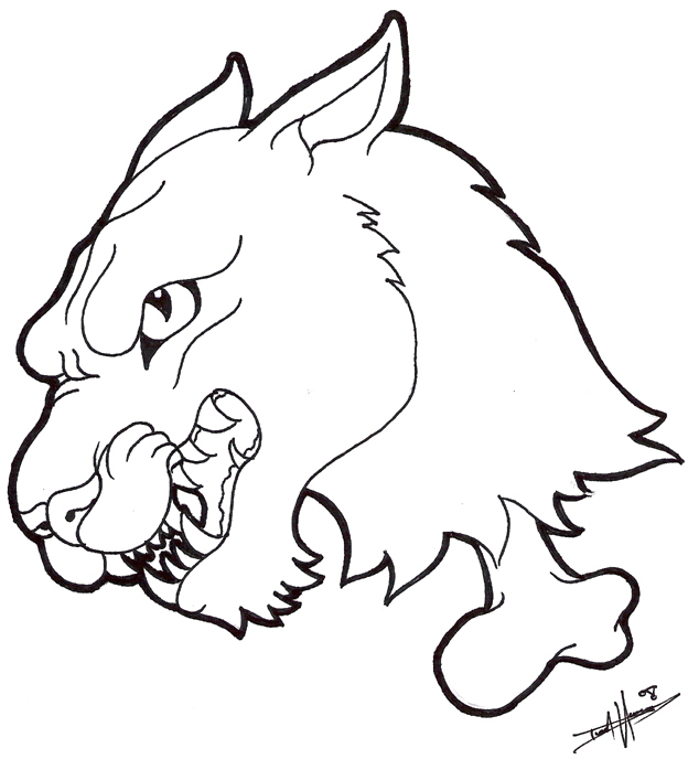 Panther Drawing Outline   Clipart Best