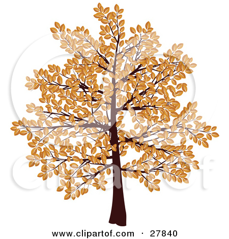 Tree With Branches Covered In Brown Autumn Leaves Over A White