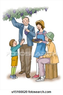 And Grandchildren Picking Grapes Illustration Front View Side View