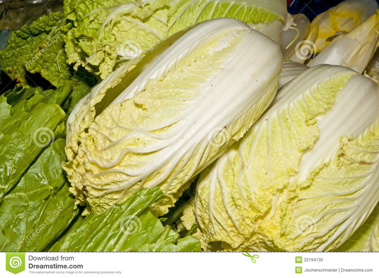 Chinese Kale Stock Photo   Image  22194130