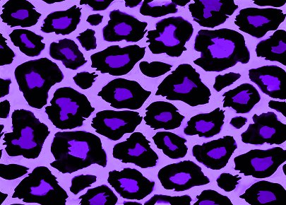 Free Purple Blue Leopard Print Background   Twitter Backgrounds