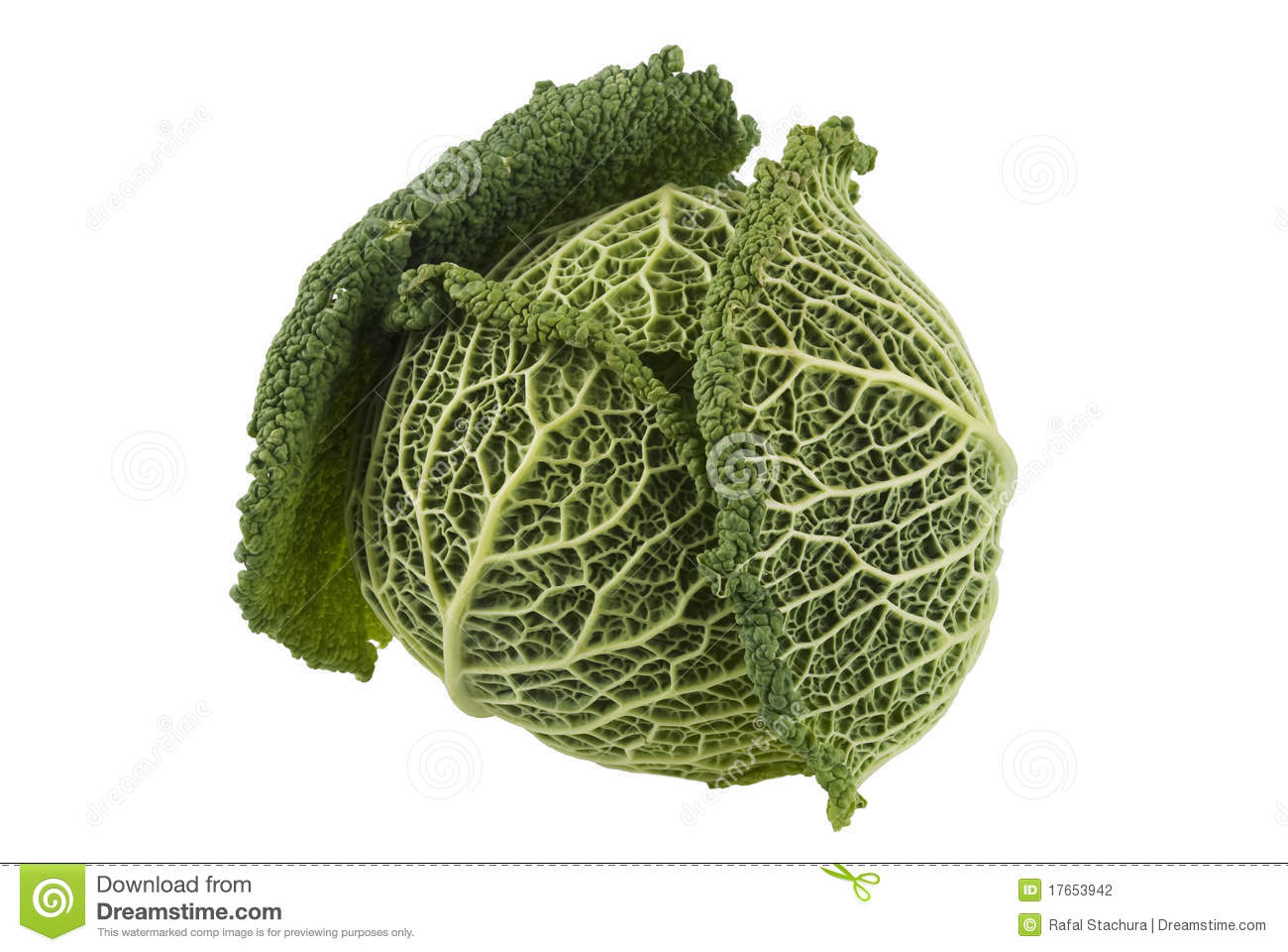 Kale Cabbage Stock Photography   Image  17653942