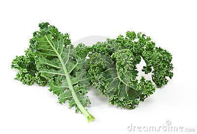 Kale Royalty Free Stock Photos   Image  18967088