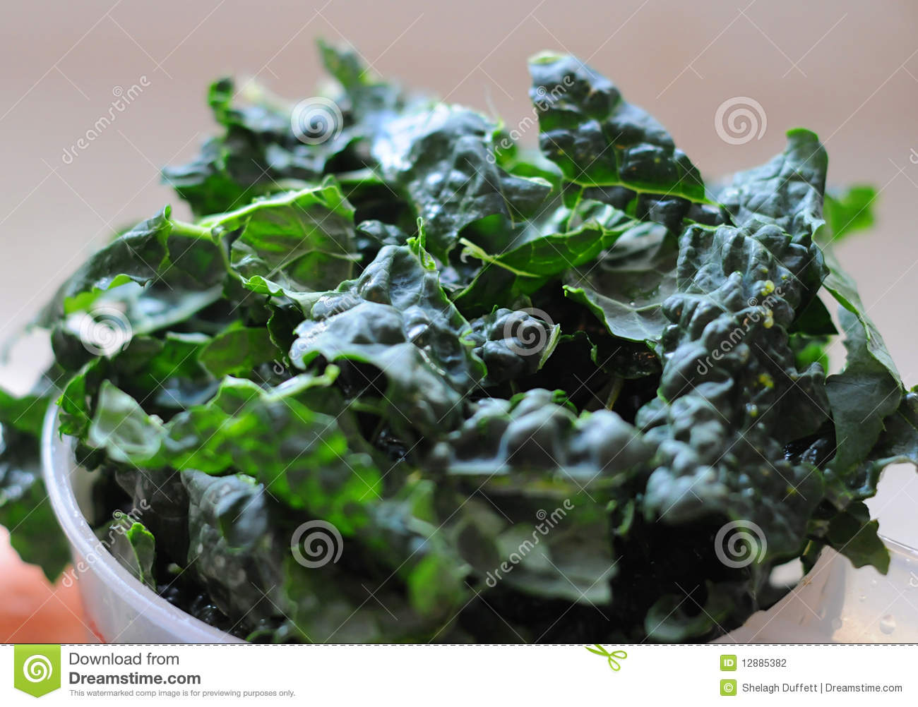 Leafy Green Fresh Kale In White Bowl 
