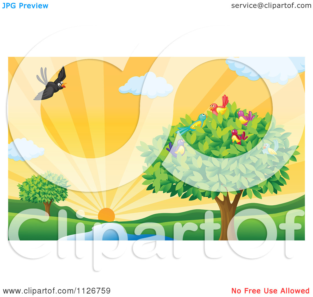 Of A Tree And Birds By A Creek At Sunset   Royalty Free Vector Clipart