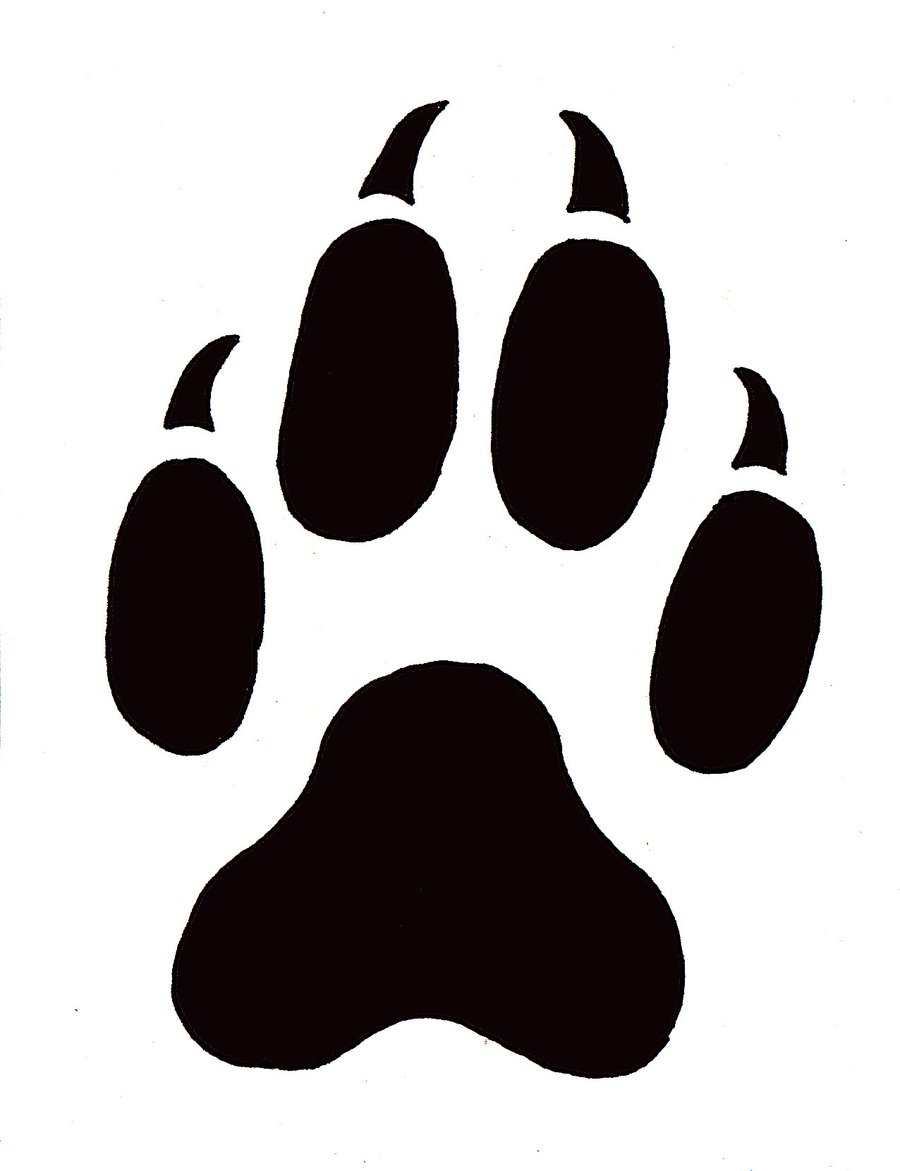 Paw Print By Annikacat Traditional Art Drawings Animals 2010 2015    