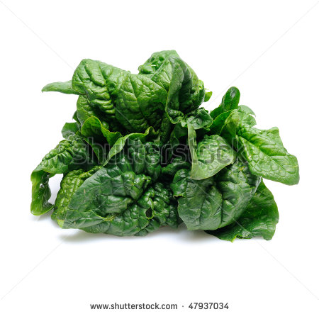 Spinach Stock Photos Illustrations And Vector Art