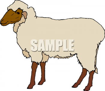 There Is 53 Petting Lamb Free Cliparts All Used For Free