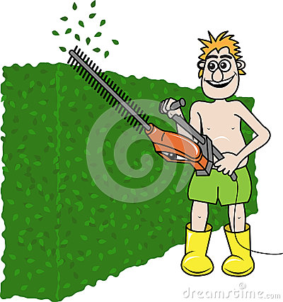Vector Illustration Of A Happy Man Clipping The Hedge With A Red Hedge