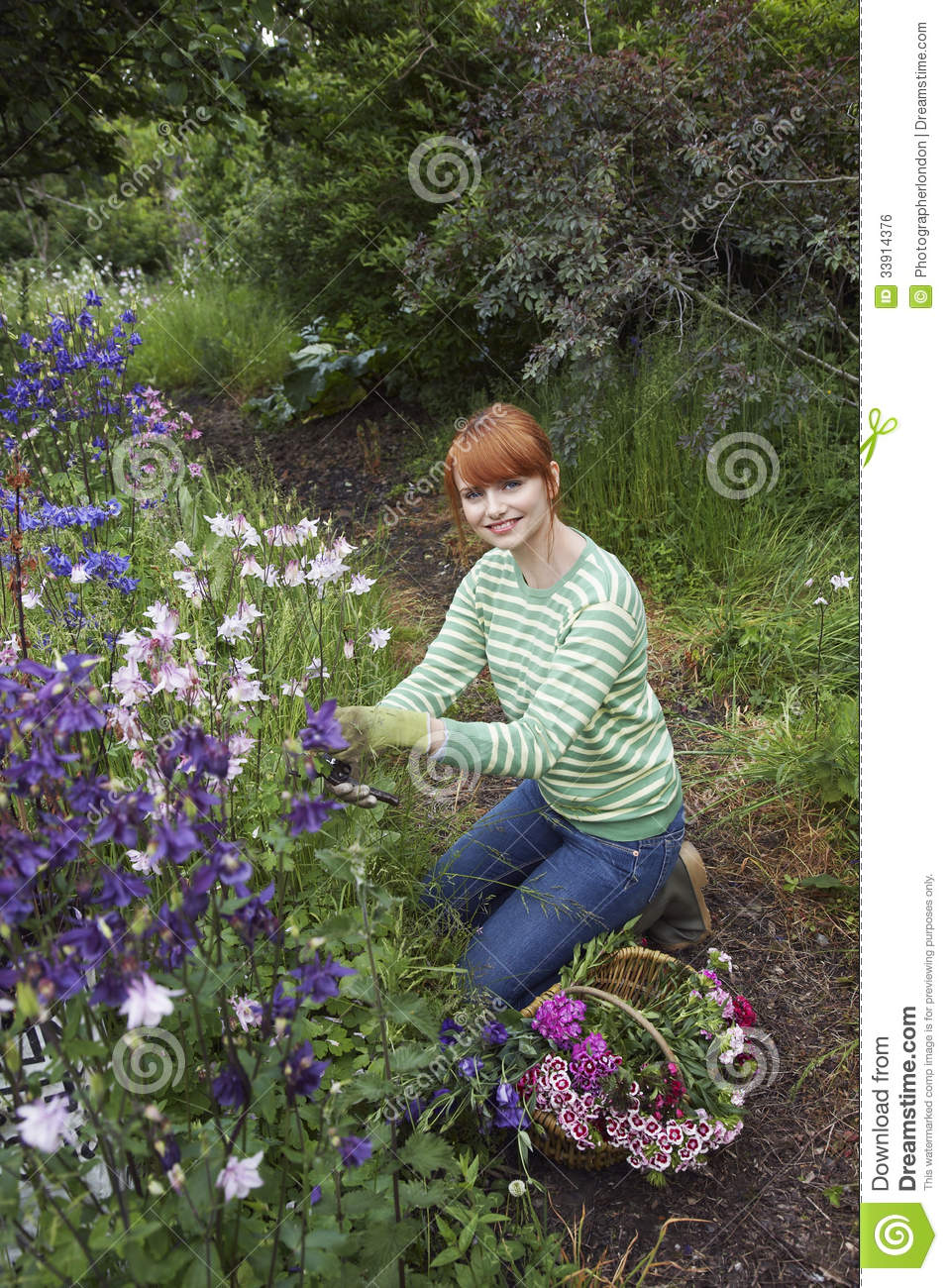 Woman Picking Flowers In Garden Royalty Free Stock Image   Image