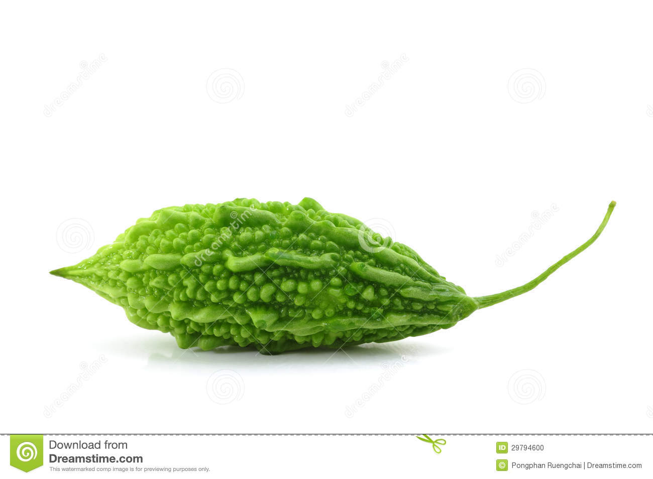 Bitter Clipart Bitter Gourd Stock Photos Images   Pictures