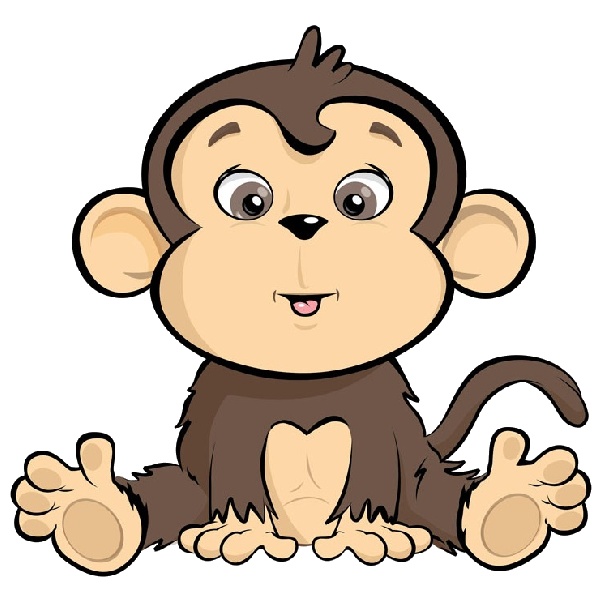 Monkeys    Monkey Illustrations Photos   Products