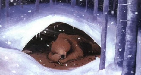 Bear Snores On By Karma Wilson   Hibernation Interrupted