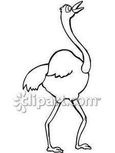 Black And White Ostrich With Its Beak Open   Royalty Free Clipart