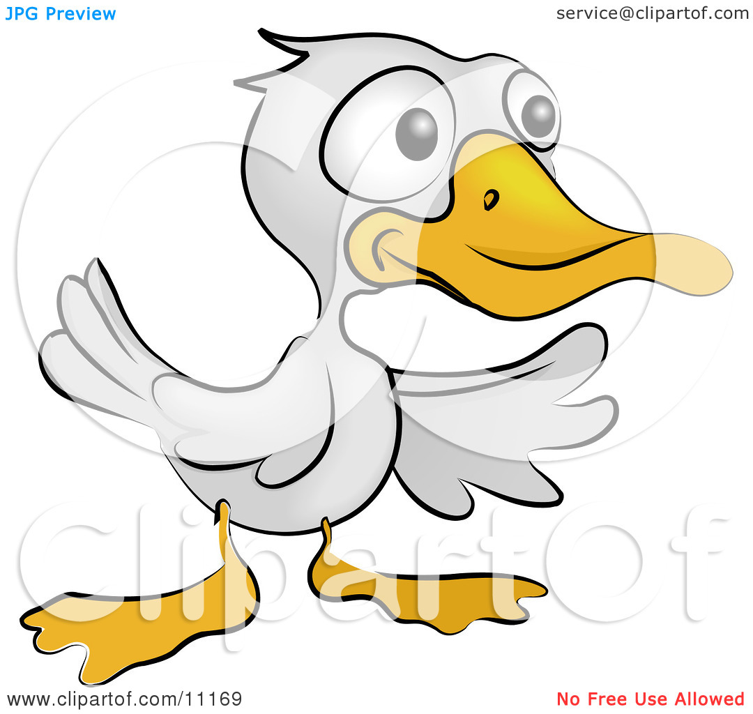 Cute White Ducky With An Orange Beak And Feet Clipart Illustration