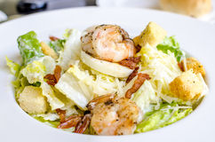 Salad Of Shrimp And Bacon Royalty Free Stock Images
