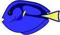 Animados De Pescado Azul Tang Tang Amarillo Zebrasoma Flavescens
