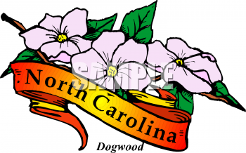 Clipart Picture Of The North Carolina State Plant