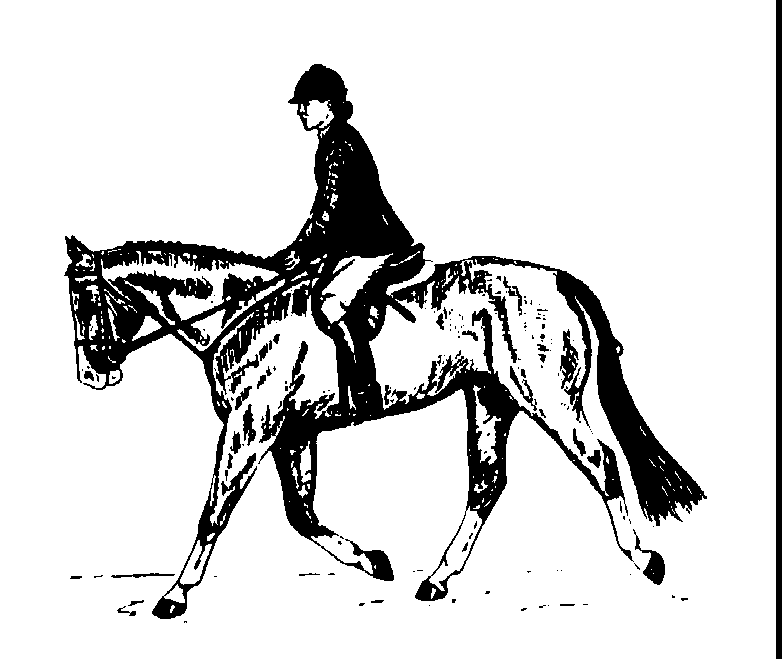 English Rider   Found At The Clip Art Collection