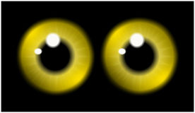 Image Of Yellow Pupil Of The Eye Eye Ball Iris Eye  Realistic Vector    