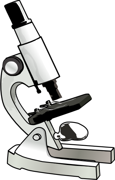 Microscope Clip Art At Clker Com   Vector Clip Art Online Royalty