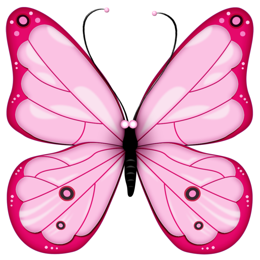 Pink Butterfly Png Image Butterflies   Pink Butterfly Png Image