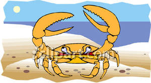 Crab With Pinchers Raised Standing On The Beach   Royalty Free Clipart