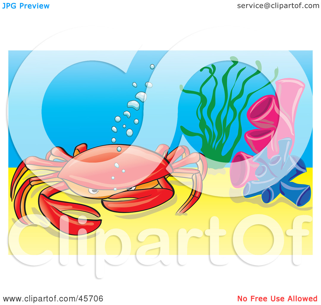Royalty Free  Rf  Clipart Illustration Of A Red Crab At The Bottom Of
