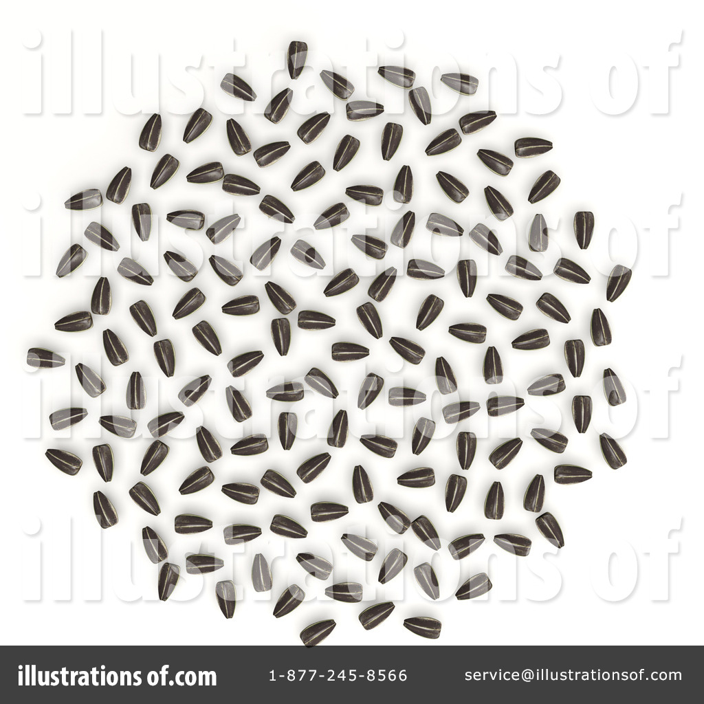 Royalty Free  Rf  Sunflower Seeds Clipart Illustration  1086613 By Leo