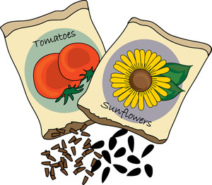 Seeds Clip Art Images Seeds Stock Photos   Clipart Seeds Pictures