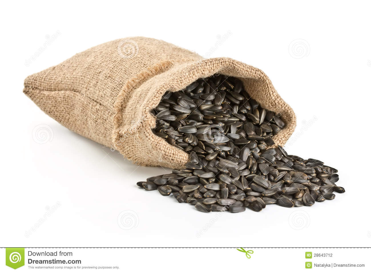 Sunflower Seeds Poured Out Of A Bag Stock Photography   Image