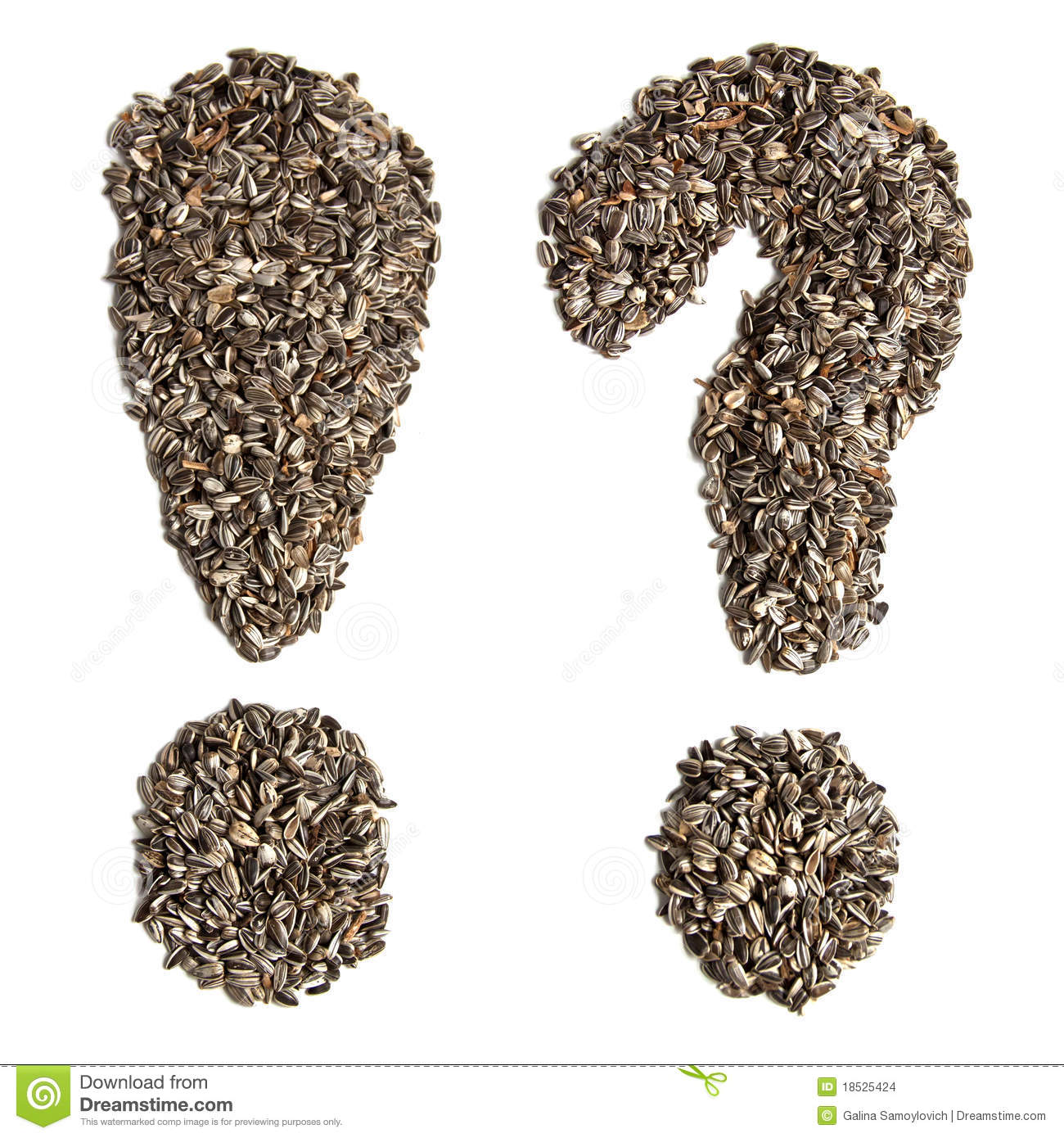 Sunflower Seeds Stock Images   Image  18525424