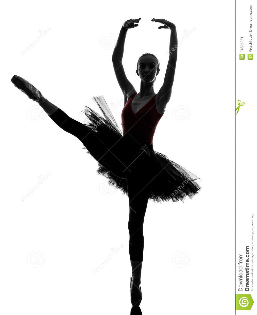 There Is 40 Ballet Dancer Tutu   Free Cliparts All Used For Free