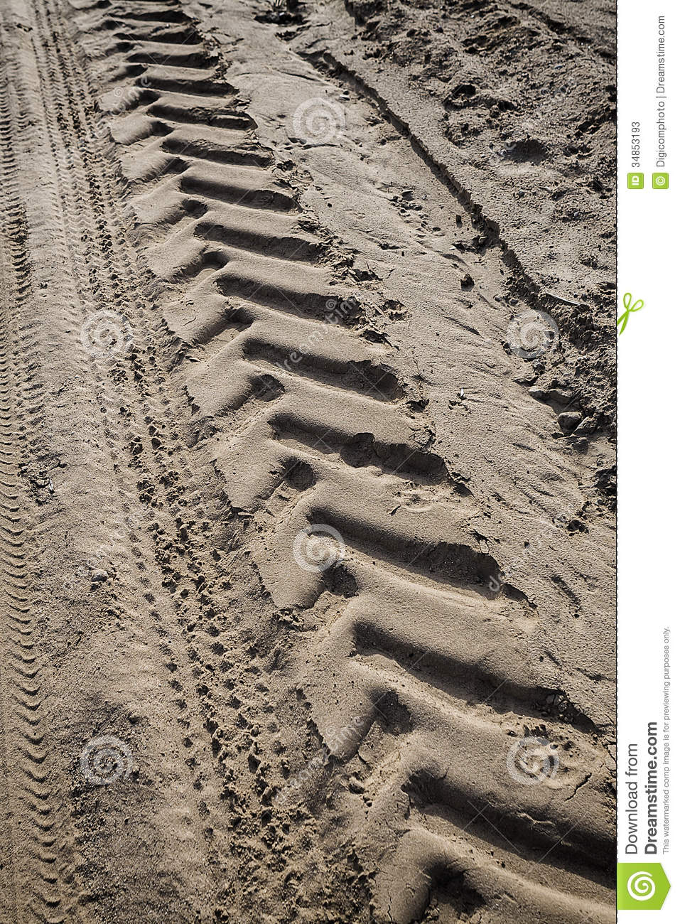 Tractor Tire Tracks On Beach Sand Horizontal Shot 