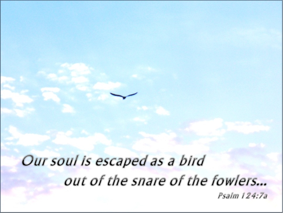 124 Verse 7a Our Soul Is Escaped As A Bird Free Christian Clipart